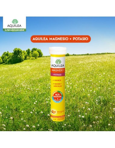 MAGNESIO POTASIO AQUILEA EFERVESCENTE 14 COMP E
